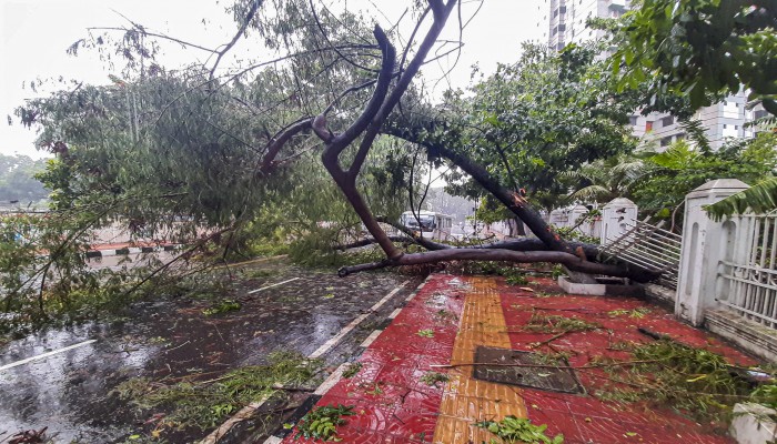 ঢাকার বিভিন্ন স্থানে ভেঙে পড়েছে গাছ ঢাকার বিভিন্ন স্থানে ভেঙে পড়েছে গাছ