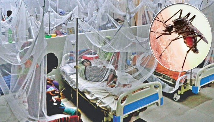 চোখ রাঙাচ্ছে ডেঙ্গু পরিস্থিতি খারাপ হওয়ার শঙ্কা চোখ রাঙাচ্ছে ডেঙ্গু পরিস্থিতি খারাপ হওয়ার শঙ্কা