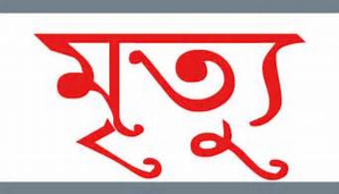 সৌদিতে আরও ২ বাংলাদেশি হজযাত্রীর মৃত্যু সৌদিতে আরও ২ বাংলাদেশি হজযাত্রীর মৃত্যু