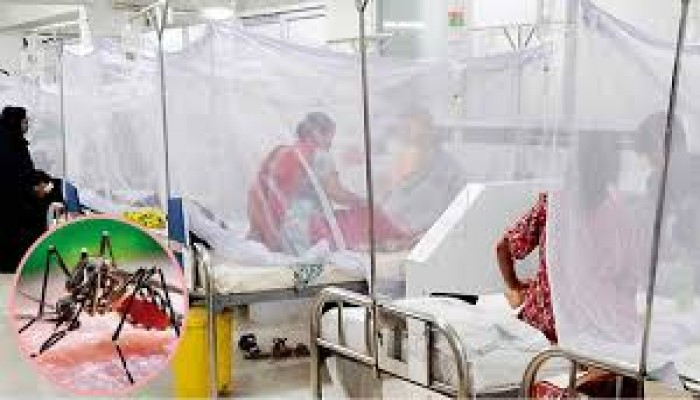 ডেঙ্গুতে ১ জনের মৃত্যু হাসপাতালে ৫৬১ ডেঙ্গুতে ১ জনের মৃত্যু হাসপাতালে ৫৬১