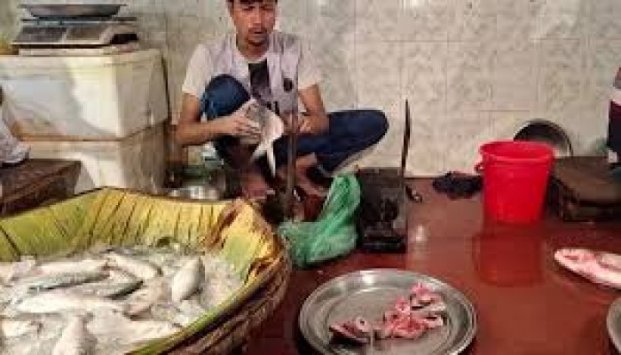 রাজশাহীতে টুকরো ইলিশও কিনতে পারছে না মানুষ রাজশাহীতে টুকরো ইলিশও কিনতে পারছে না মানুষ