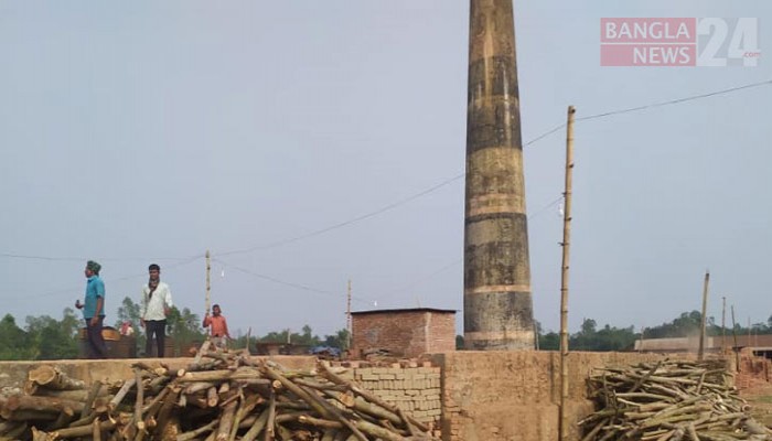 অবৈধ ইটভাটায় পরিবেশ জীববৈচিত্র্যের বিপর্যয় অবৈধ ইটভাটায় পরিবেশ জীববৈচিত্র্যের বিপর্যয়