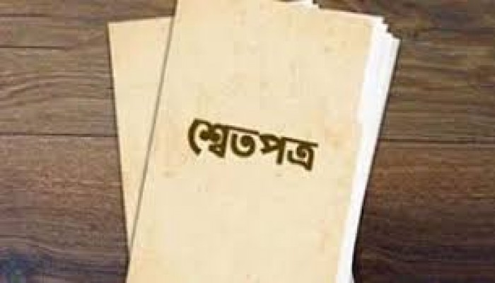 আর্থিক খাতে মহালুটপাটের ভয়ংকর চিত্র শ্বেতপত্রে আর্থিক খাতে মহালুটপাটের ভয়ংকর চিত্র শ্বেতপত্রে