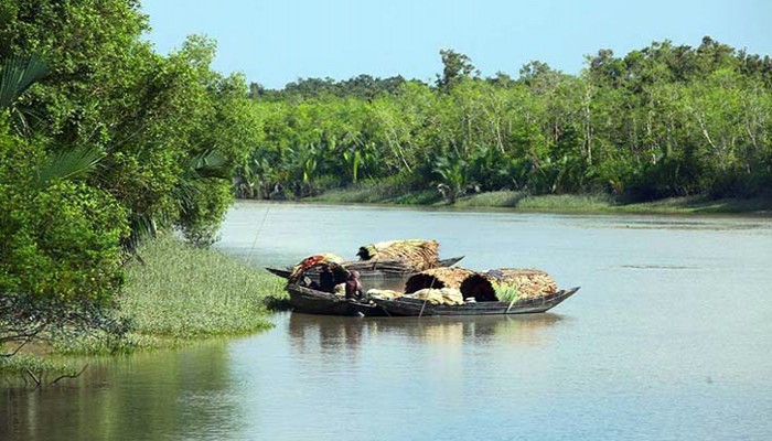 সুন্দরবনে নতুন জলদস্যু বাড়ছে অপহরণ সুন্দরবনে নতুন জলদস্যু বাড়ছে অপহরণ