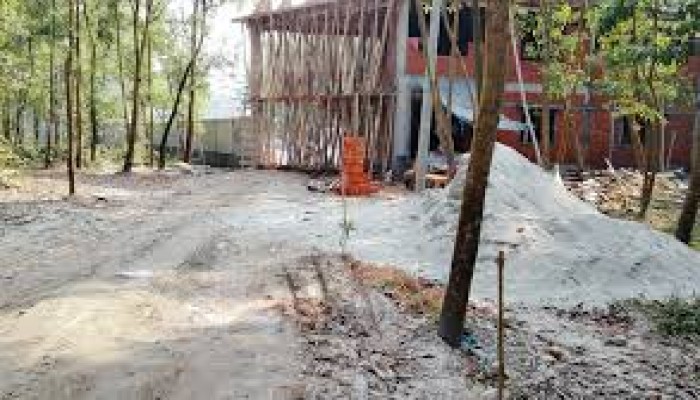 মির্জাপুরে বনের জমি দখল করে বসতঘর নির্মাণ মির্জাপুরে বনের জমি দখল করে বসতঘর নির্মাণ