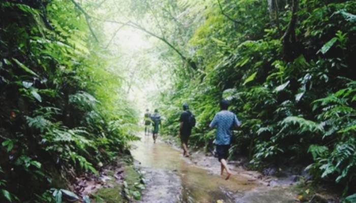 মৌলভীবাজার সাফারি পার্ক প্রকল্প বাতিল মৌলভীবাজার সাফারি পার্ক প্রকল্প বাতিল