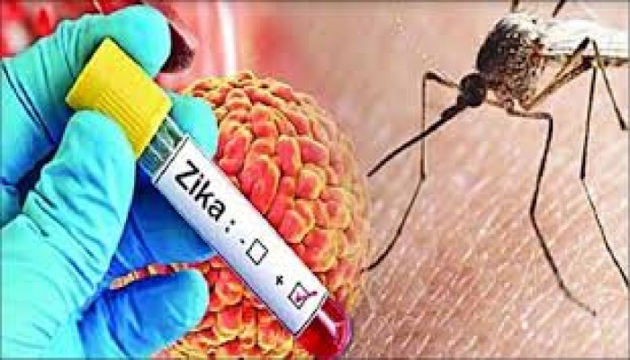 ডেঙ্গু আক্রান্তের মধ্যেও জিকা ভাইরাসের ক্লাস্টার শনাক্ত, আক্রান্ত ৫ ডেঙ্গু আক্রান্তের মধ্যেও জিকা ভাইরাসের ক্লাস্টার শনাক্ত, আক্রান্ত ৫