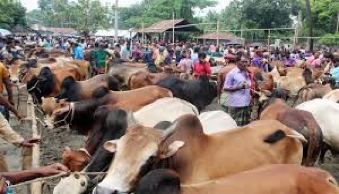 সড়ক ও নৌপথে নিরাপত্তা নিয়ে উদ্বিগ্ন ব্যবসায়ীরা সড়ক ও নৌপথে নিরাপত্তা নিয়ে উদ্বিগ্ন ব্যবসায়ীরা