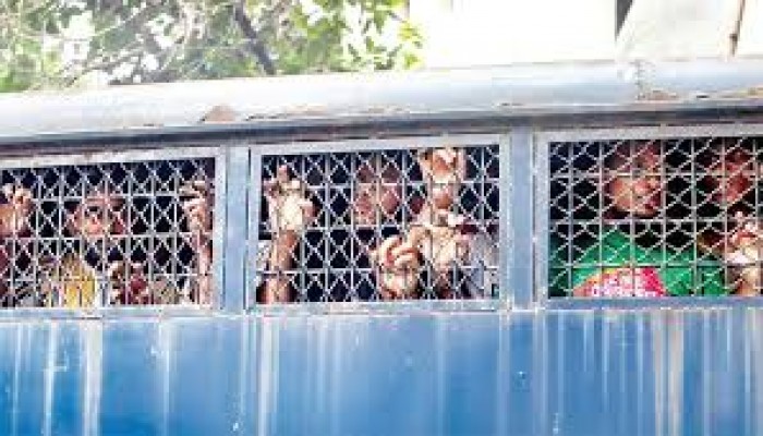 টঙ্গীতে অপহরণকারী চক্রের ৫ সদস্য গ্রেফতার টঙ্গীতে অপহরণকারী চক্রের ৫ সদস্য গ্রেফতার