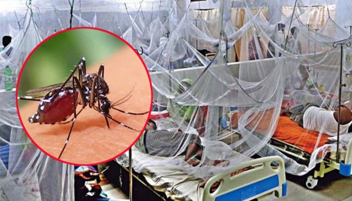 ডেঙ্গুতে আরও ২ জনের মৃত্যু, ৩২৬ জন হাসপাতালে ভর্তি ডেঙ্গুতে আরও ২ জনের মৃত্যু, ৩২৬ জন হাসপাতালে ভর্তি