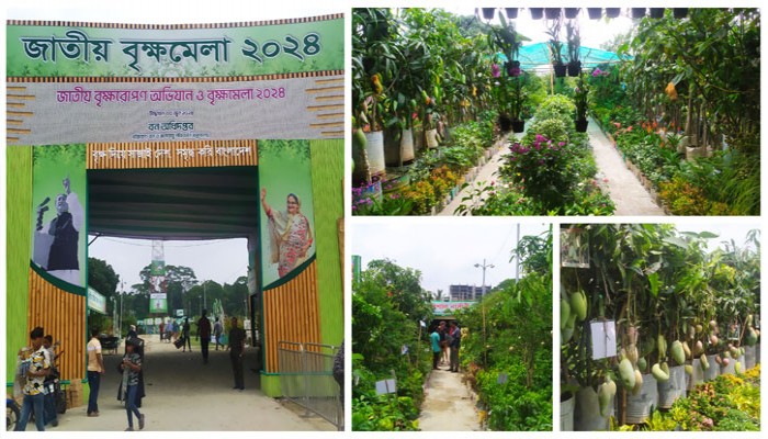 জাতীয় বৃক্ষ মেলায় হাজার প্রজাতির গাছের সমাহার জাতীয় বৃক্ষ মেলায় হাজার প্রজাতির গাছের সমাহার