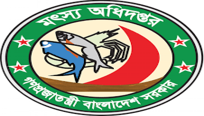 গাড়ির মেরামত ও জ্বালানি বাবদ প্রায় ৩১ লাখ টাকা লুটপাট গাড়ির মেরামত ও জ্বালানি বাবদ প্রায় ৩১ লাখ টাকা লুটপাট