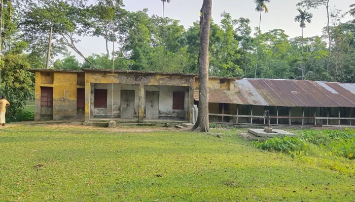 নাম তার মৈশানি মাধ্যমিক বালিকা বিদ্যালয় নাম তার মৈশানি মাধ্যমিক বালিকা বিদ্যালয়