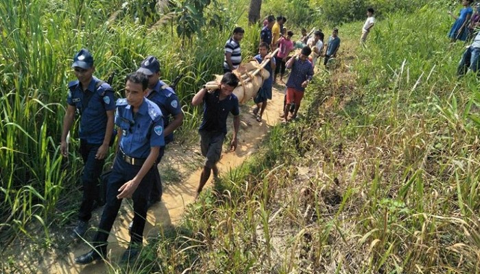 আধিপত্যে রক্তাক্ত পাহাড় আধিপত্যে রক্তাক্ত পাহাড়