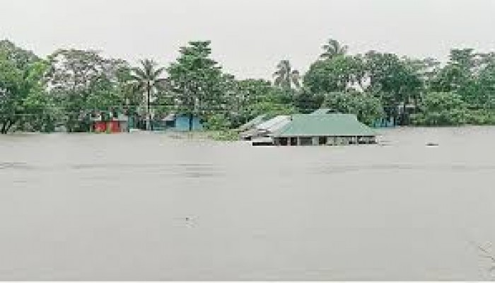 রাজবাড়ীতে বাড়ছে নদ-নদীর পানি, শঙ্কায় নিম্নাঞ্চলের মানুষ রাজবাড়ীতে বাড়ছে নদ-নদীর পানি, শঙ্কায় নিম্নাঞ্চলের মানুষ