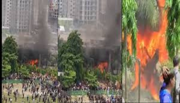 মাইলস্টোন ট্রাজেডি: ২৪ দিন পর আরও এক শিক্ষিকার মৃত্যু মাইলস্টোন ট্রাজেডি: ২৪ দিন পর আরও এক শিক্ষিকার মৃত্যু