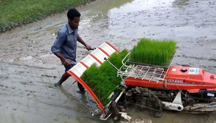 ভর্তুকি বন্ধ করায় কমেছে কৃষি যন্ত্রের ব্যবহার ভর্তুকি বন্ধ করায় কমেছে কৃষি যন্ত্রের ব্যবহার
