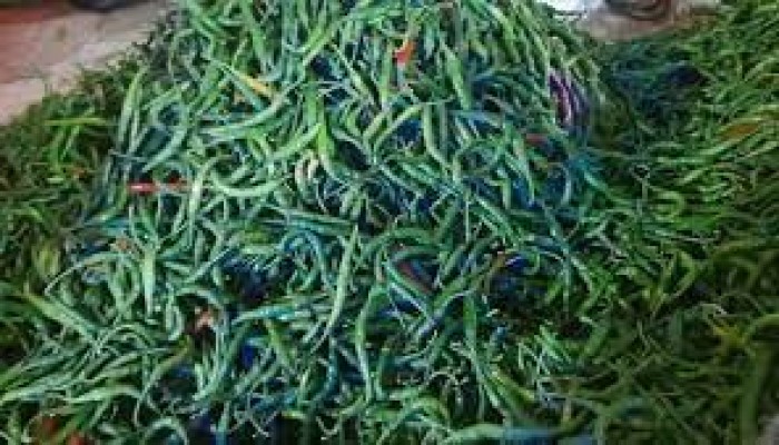 ১৬০ টাকার কাঁচামরিচ বিক্রি হচ্ছে ৩২০ টাকা ১৬০ টাকার কাঁচামরিচ বিক্রি হচ্ছে ৩২০ টাকা