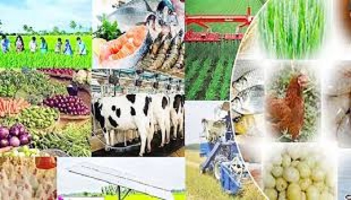 কৃষি, শিল্প ও অবকাঠামো নির্মাণ খাতের উপকরণ আমদানি কমছে কৃষি, শিল্প ও অবকাঠামো নির্মাণ খাতের উপকরণ আমদানি কমছে