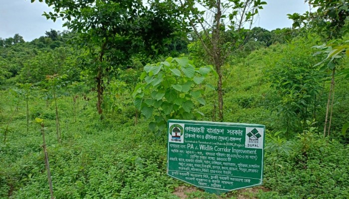 নিশ্চিত হচ্ছে বন্যপ্রাণীর নিরাপদ আবাস নিশ্চিত হচ্ছে বন্যপ্রাণীর নিরাপদ আবাস